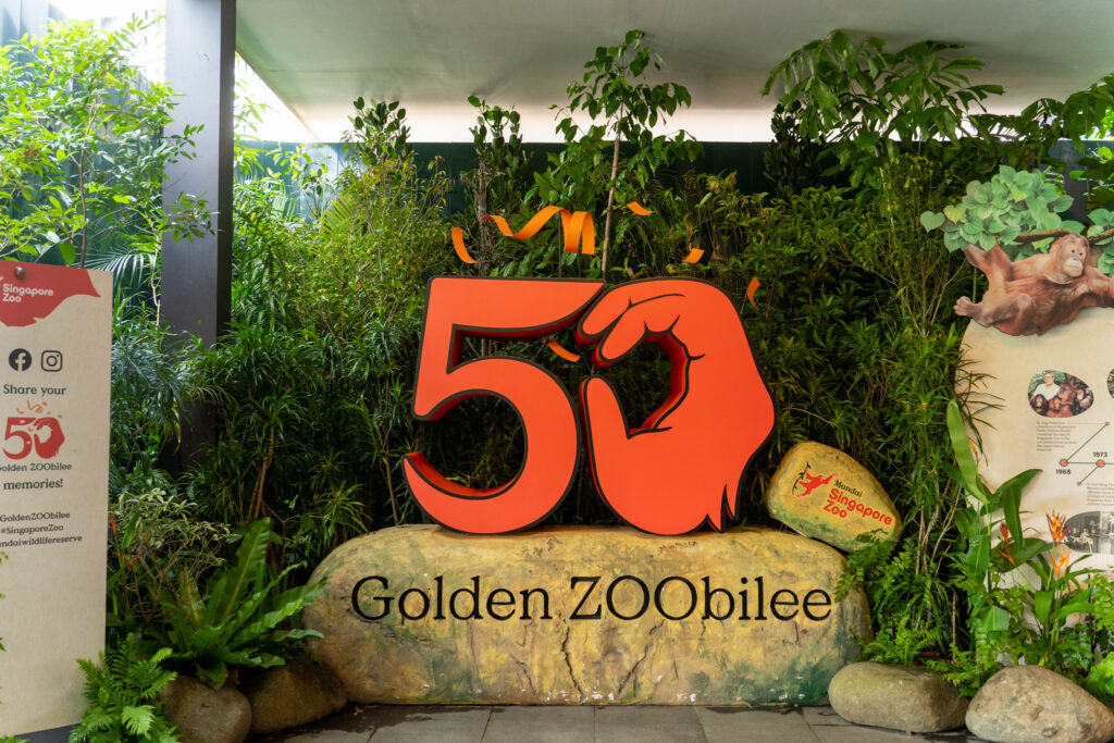 Singapore Zoo Happy ZOObilee: 50th birthday