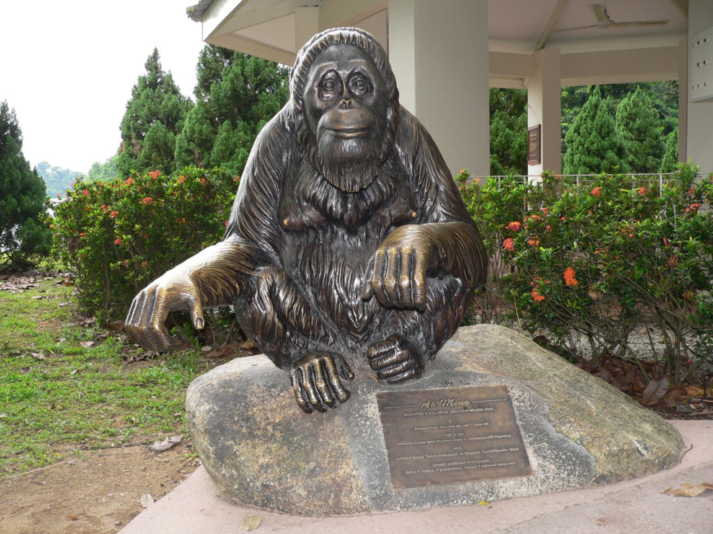 Singapore Zoo Happy ZOObilee: Ah Meng's Sculpture