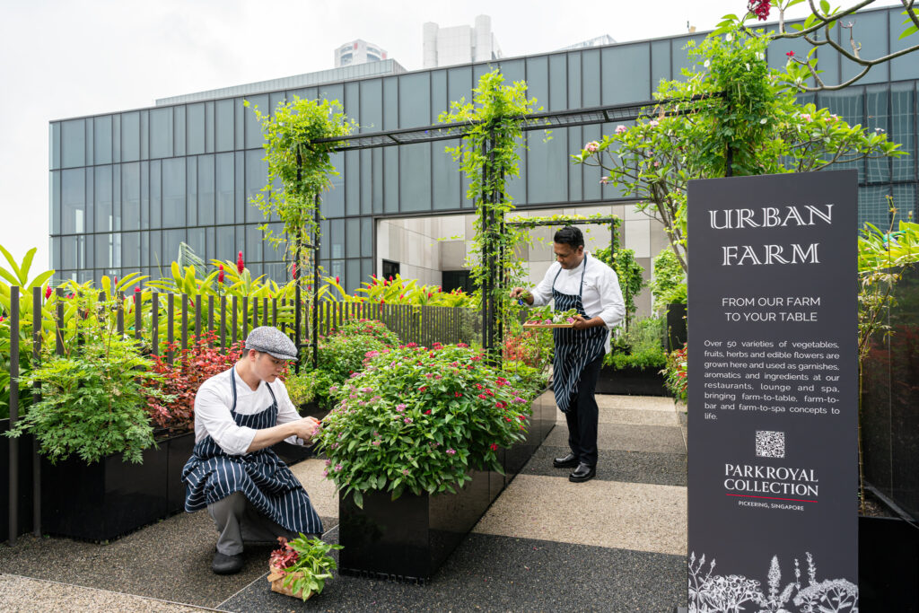 PARKROYAL COLLECTION's Eco-Wellness Program: Urban Farm