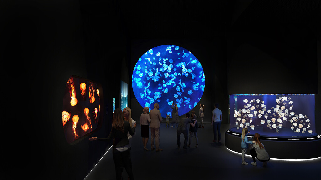 Singapore Oceanarium Ocean Wonders
