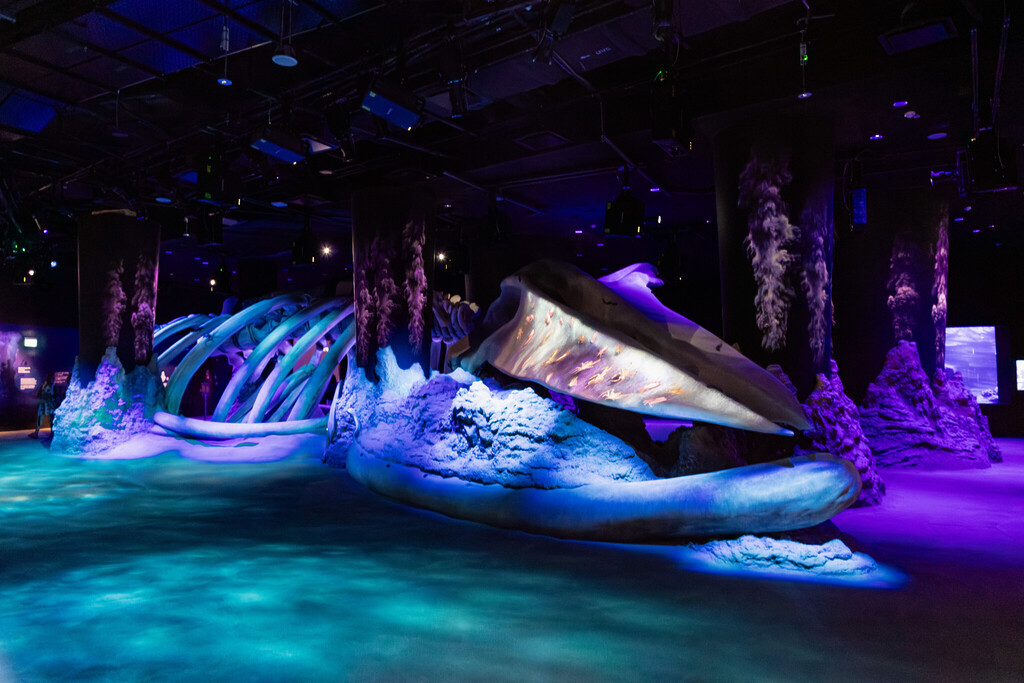 Singapore Oceanarium Animal Whale