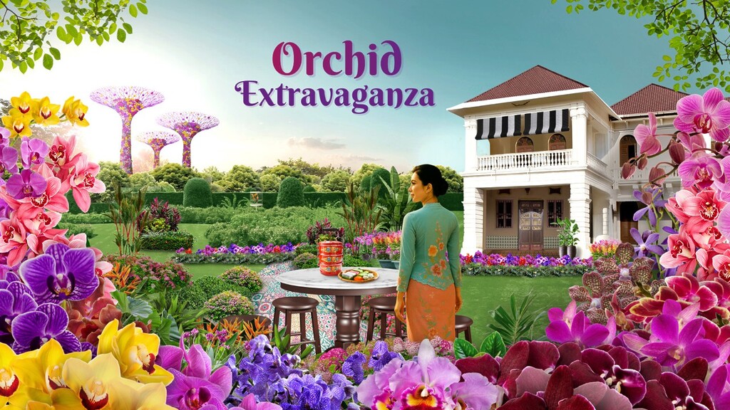 Things to Do August 2025 Orchid Extravaganza at Flower Dome