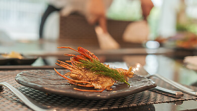 Premium Casual Dining Guide: Cover Image