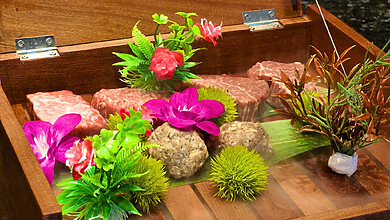 Minsuizen Raku Sentosa: Food Presentation