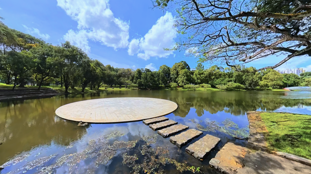 DJI Avata 360 Ultrawide of a Pond