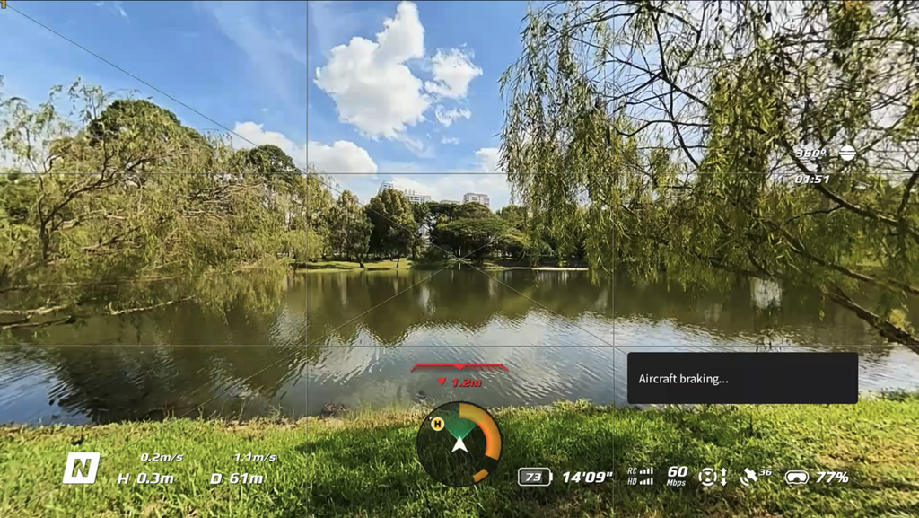 DJI Avata 360 Goggle View with Aircraft Braking Near Leaves