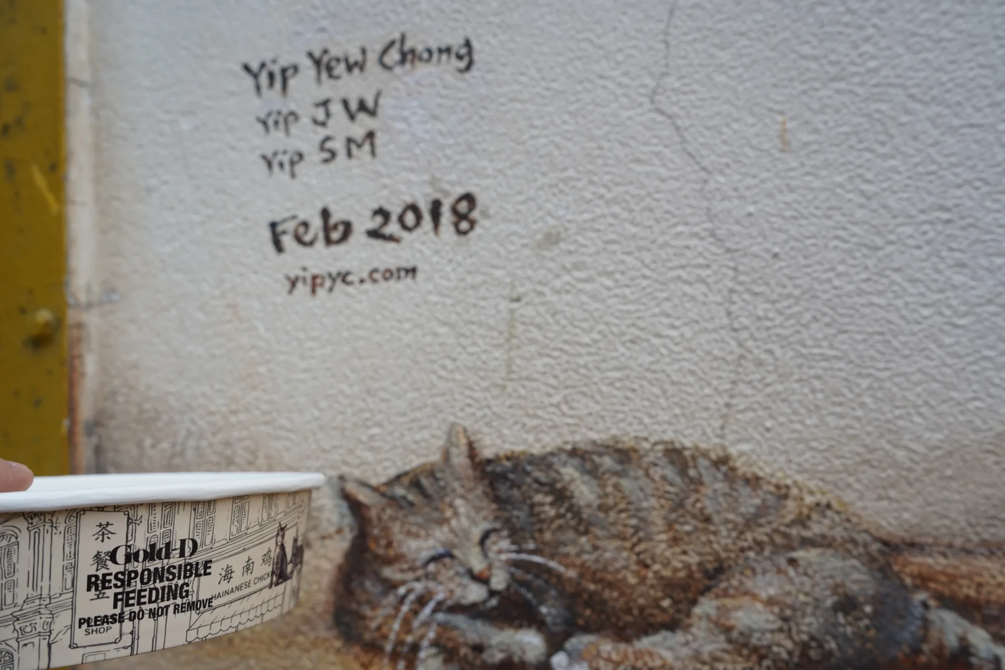 A Cats of Chinatown feeding bowl beside a tabby community cat against a weathered wall