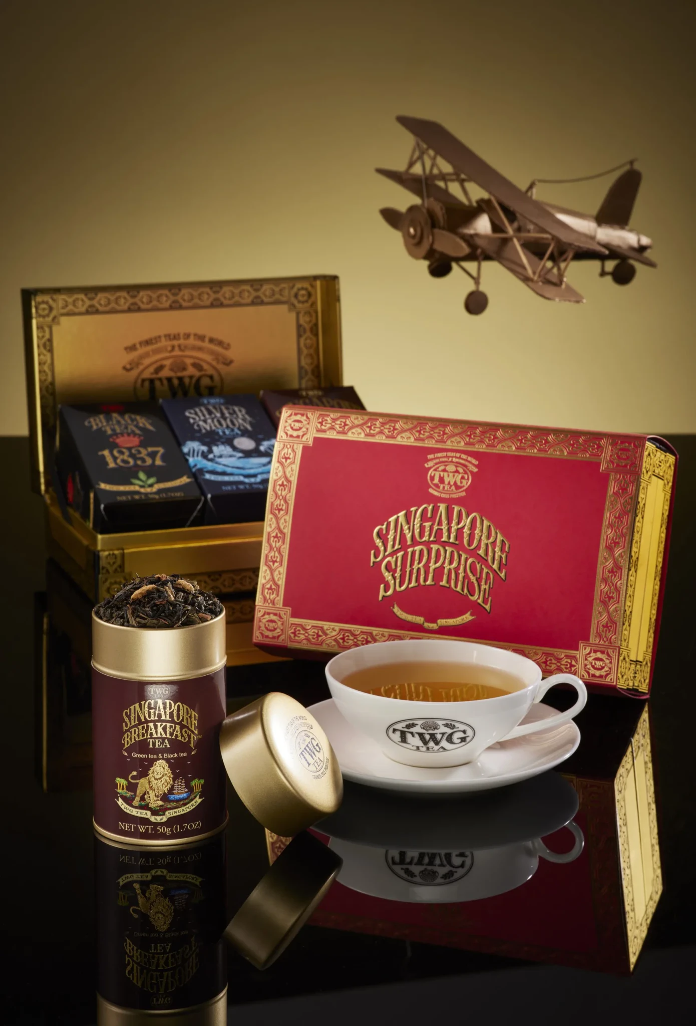Singapore Surprise Gift Set with a burgundy carton box, Singapore Breakfast Tea canister, TWG tea cup and saucer and a vintage biplane model