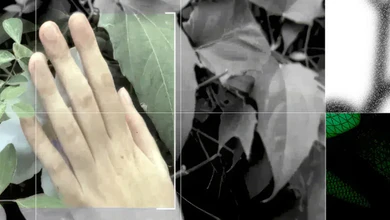 Collage of a hand over grayscale leaves, with green wireframe mesh shapes and grid lines across the frame