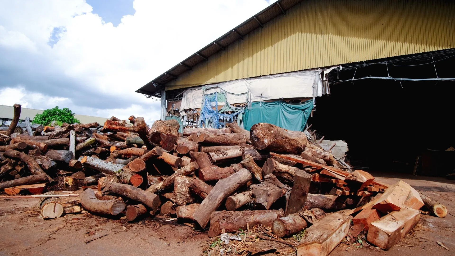 Timber logs stacked in a sawmill yard with corrugated metal buildings and tarps in the background