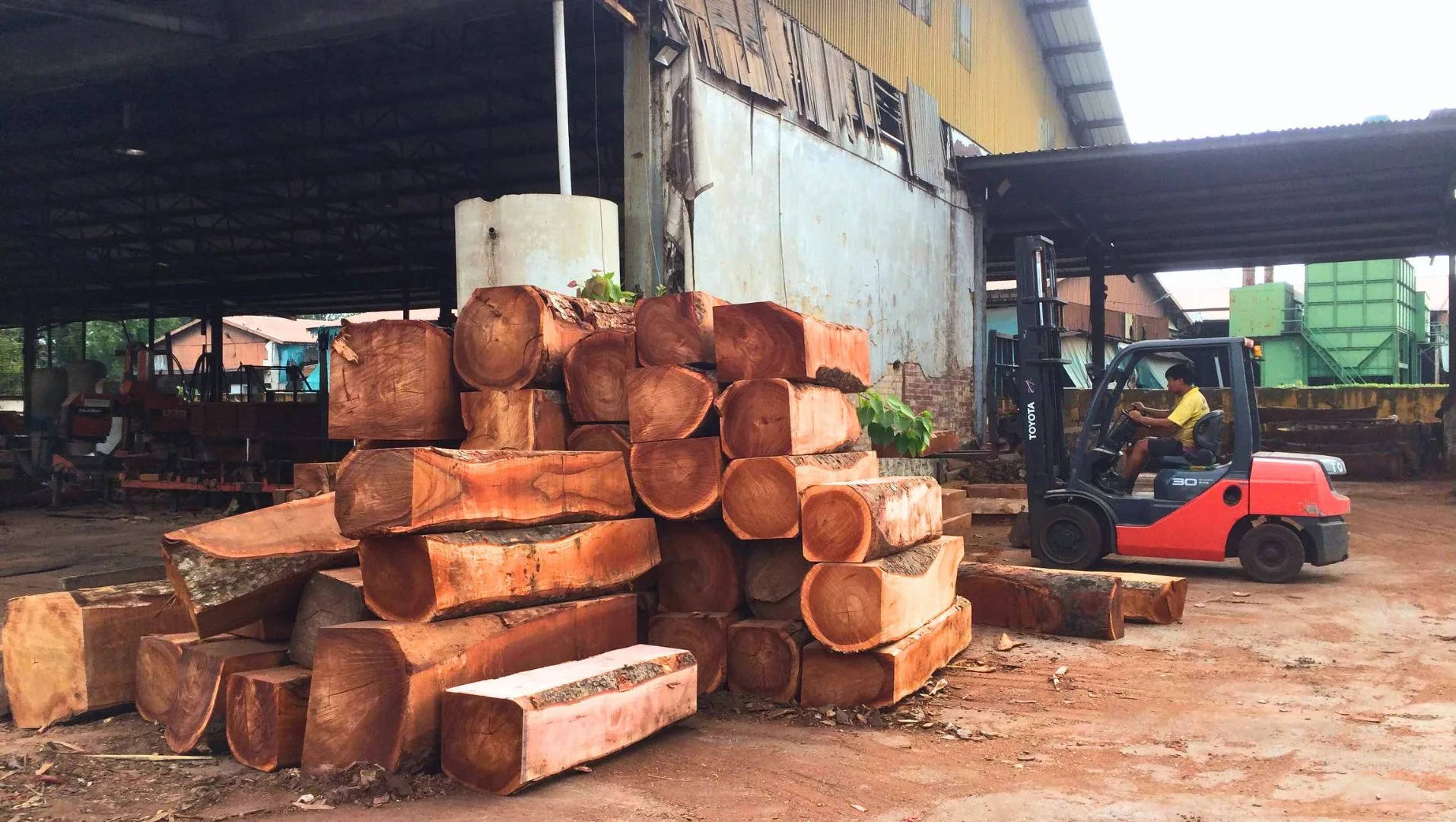 Stacked timber logs and a forklift operator at work in the Sin Siong Lim Sawmill yard
