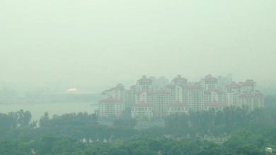 Hazy view of red-roofed residential towers above green trees and water