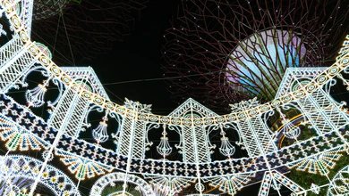 Festive lights beneath the Supertrees at Christmas Wonderland, Gardens by the Bay, in 2024