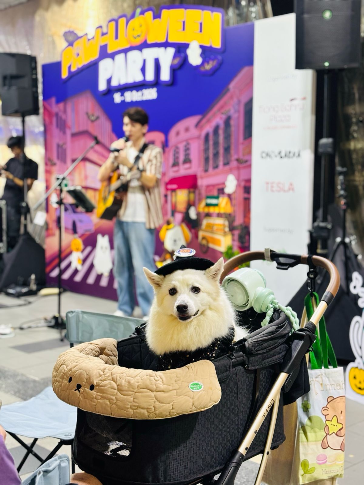 A dog in a stroller at the Paw-lloween Party stage, Tiong Bahru Plaza.