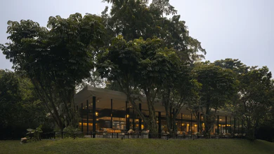 The glass-walled facade of PS.Cafe Harding lit warmly among tall trees in the Dempsey woods