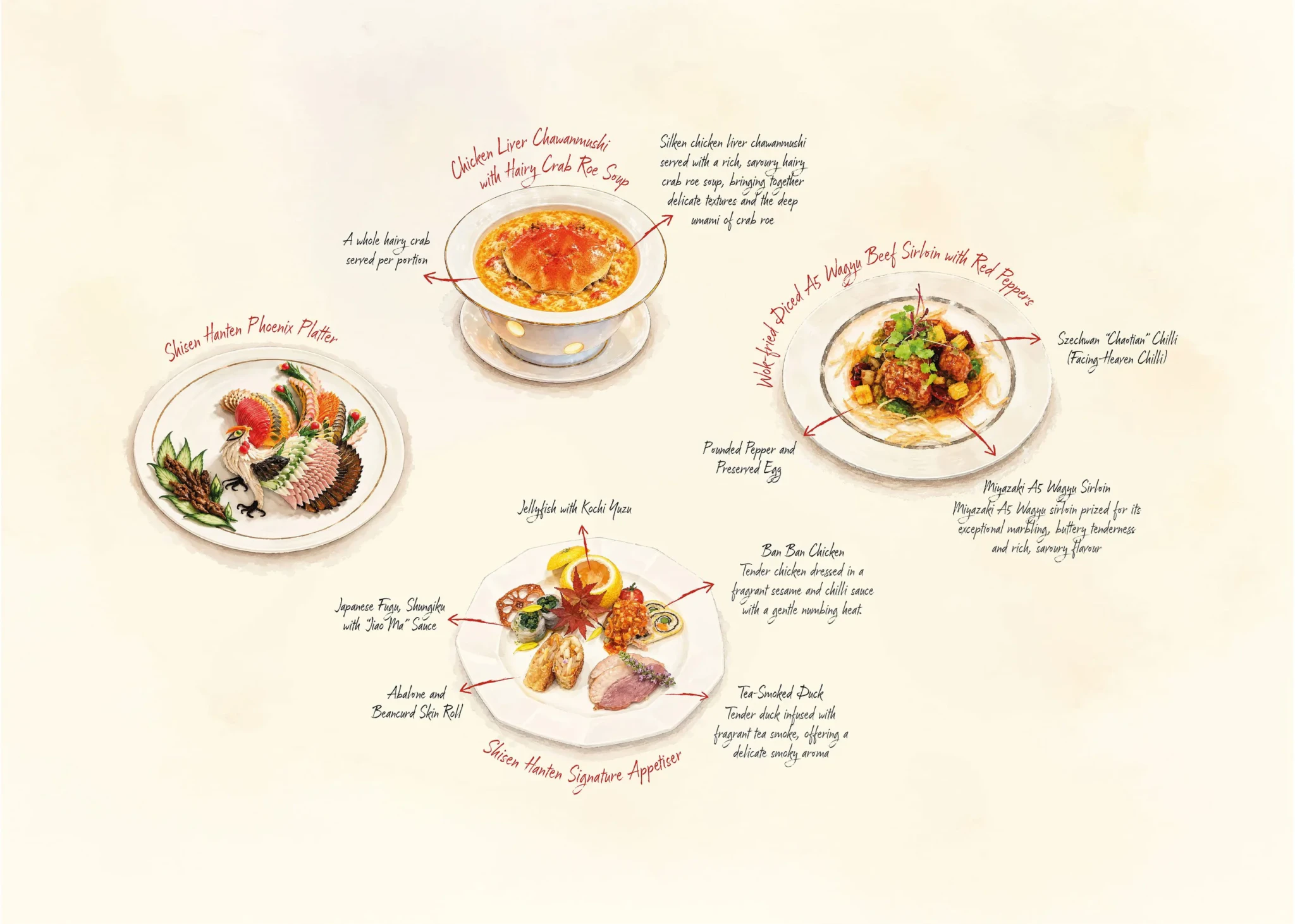 Hand-drawn illustrations of the Phoenix Platter, signature appetisers, chicken liver chawanmushi and A5 wagyu with red peppers