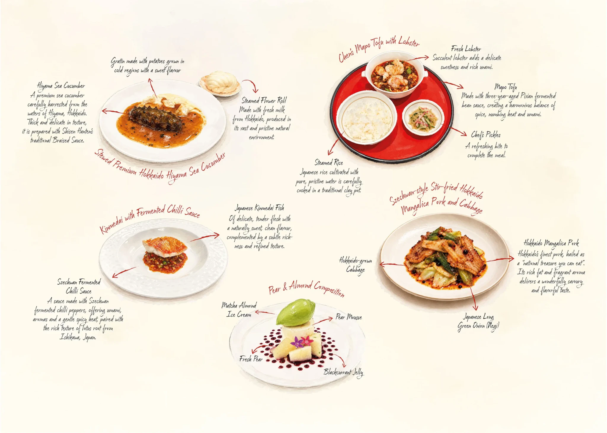 Hand-drawn illustrations of sea cucumber, lobster mapo tofu, kinmedai, Mangalica pork and pear and almond dessert