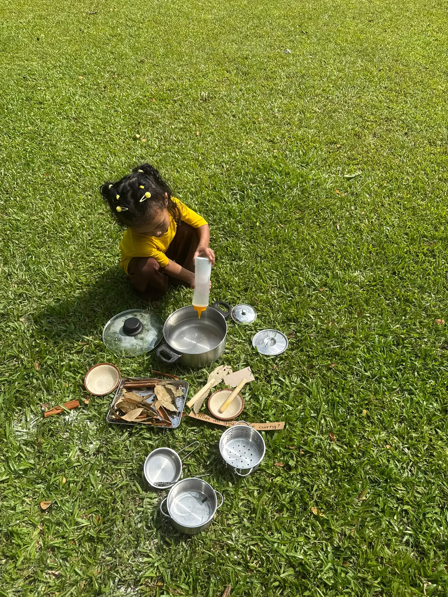A young girl in a yellow top pouring from a squeeze bottle into toy steel pots on the grass beside a sign asking how to make curry