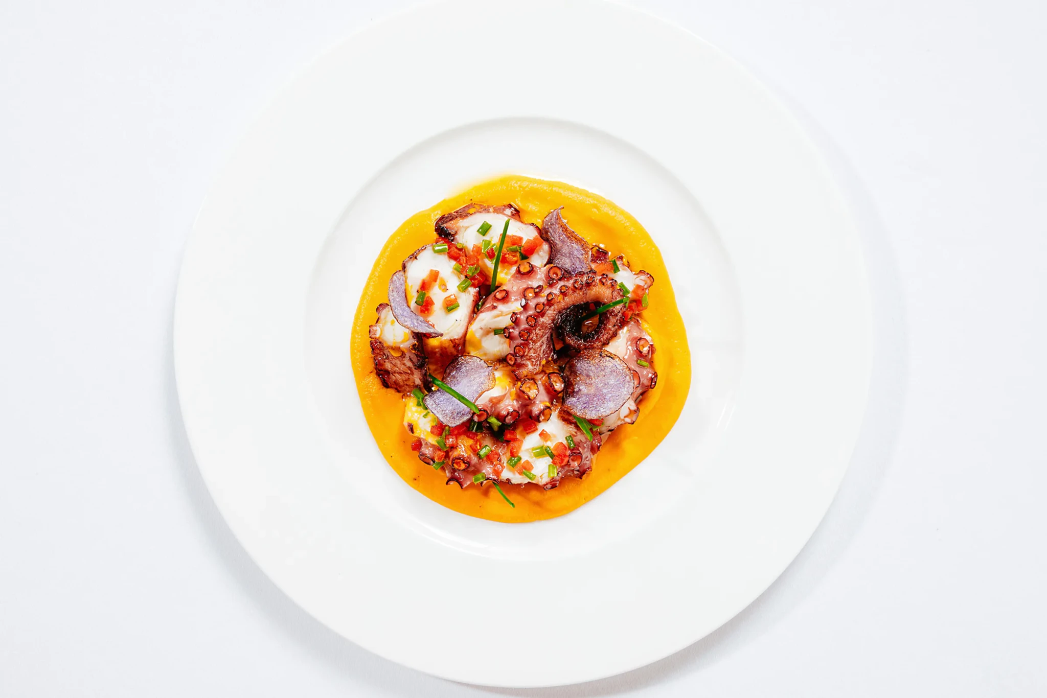 Charred octopus over a bright orange purée with diced tomato and purple potato crisps