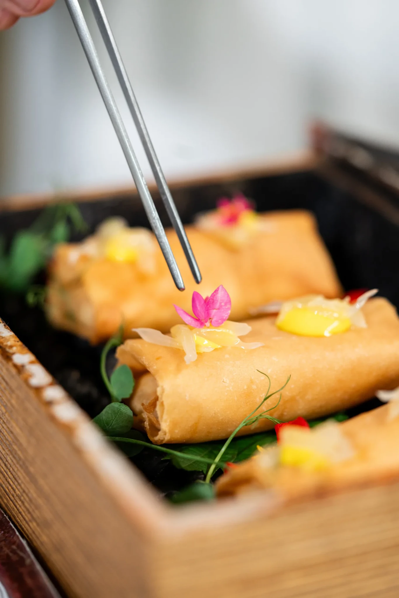 Golden fried spring rolls with pink edible flower and yellow sauce, lifted with metal chopsticks in a wooden box