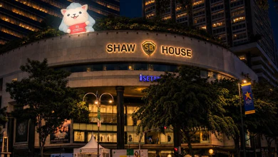 Merli figure perched above Shaw House on Orchard Road